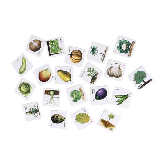 Creatives Fruits, Vegetables & Their Plants 2 in 1
