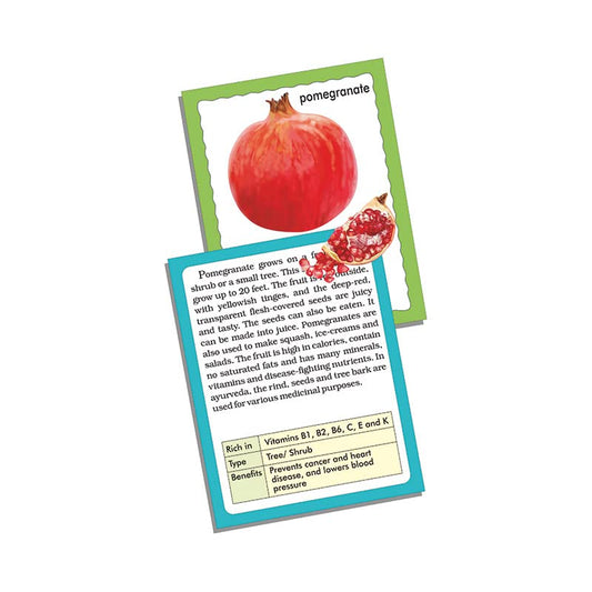 Creative's Discover Fruits, Discover Fruit Name and Useful Facts and Information About The Fruits