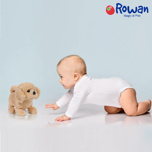 Rowan Fuzzbuzz Buddy Walking Dog Stuffed Toy, Cute Plushie