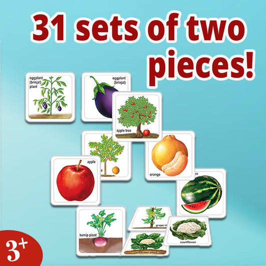 Creative's Fruits Vegetables & Their Plants, Learning & Educational