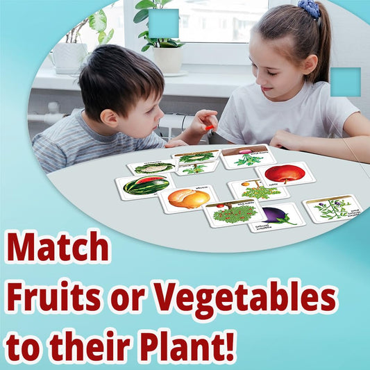 Creative's Fruits Vegetables & Their Plants, Learning & Educational