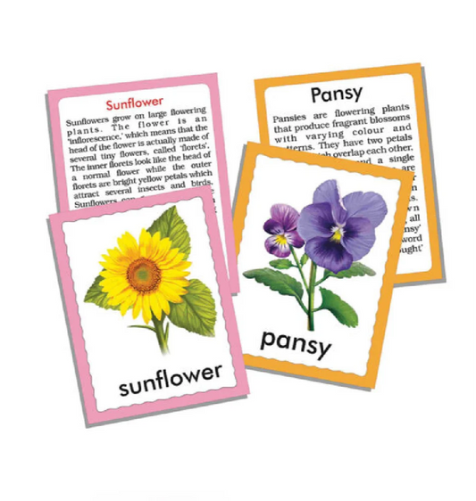 Creative's Discover Flowers Flash Cards
