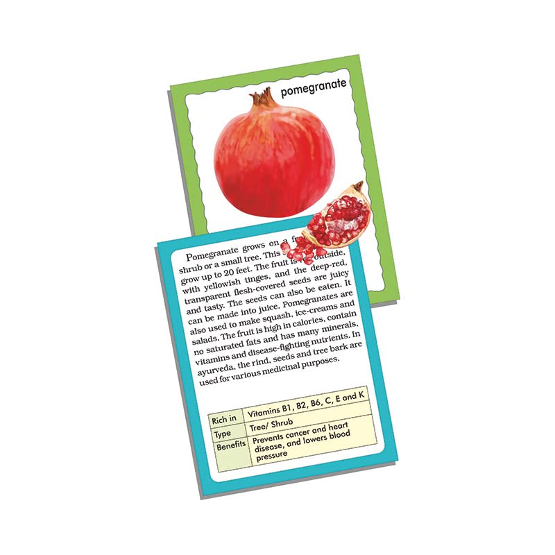 Creative's Discover Fruits, Discover Fruit Name and Useful Facts and Information About The Fruits