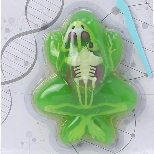 Ribbit and RIP IT DISSECT KIT Frog