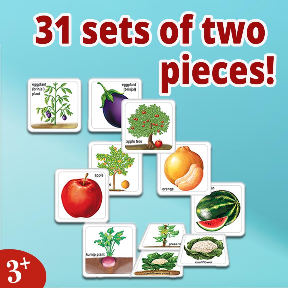 Creative's Fruits Vegetables & Their Plants, Learning & Educational