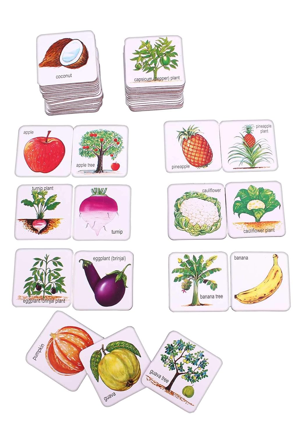 Creatives Fruits, Vegetables & Their Plants 2 in 1