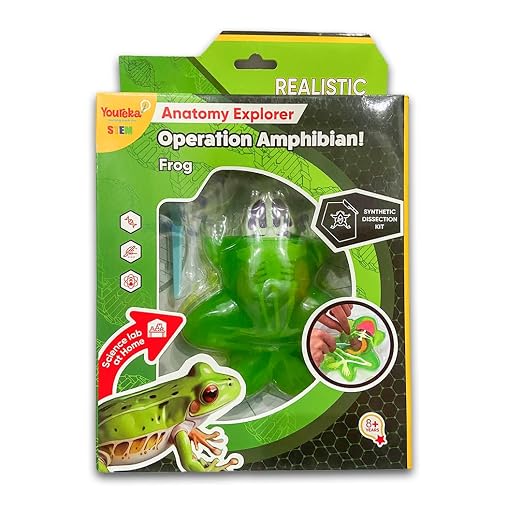 Ribbit and RIP IT DISSECT KIT Frog