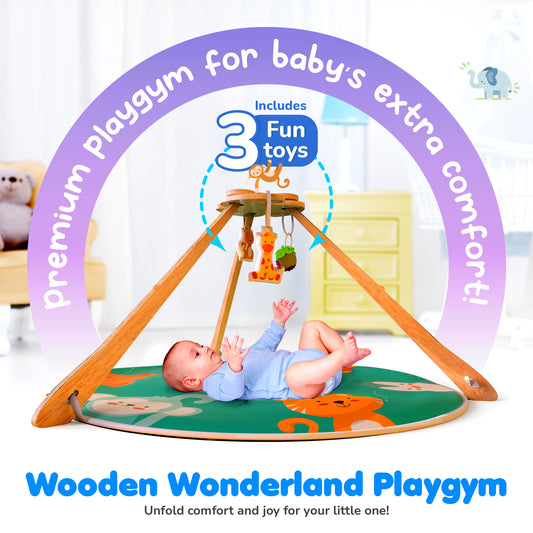 Giggles Wooden Wonderland Playgym