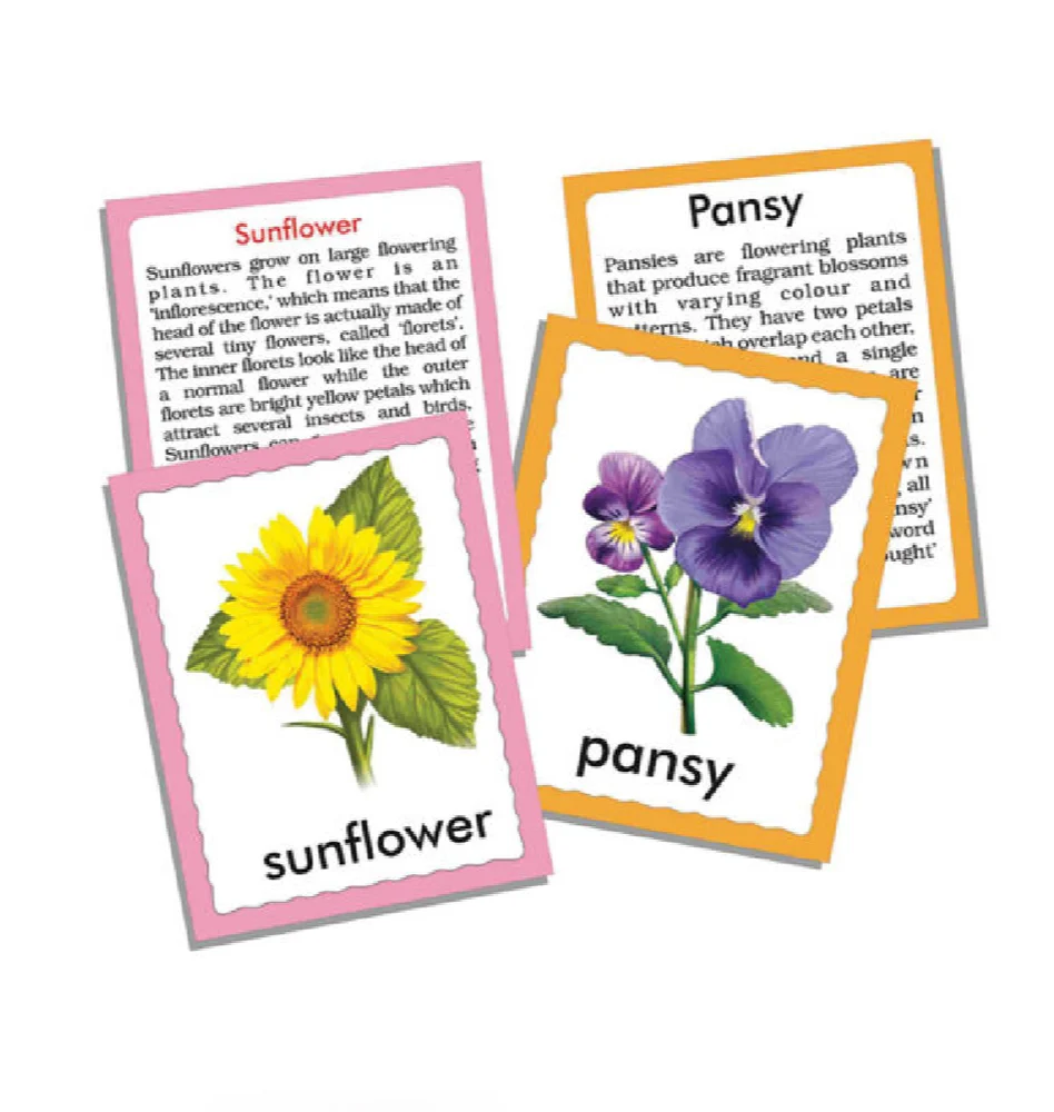 Creative's Discover Flowers Flash Cards